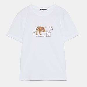 Zara (Expectations vs Reality) t-shirt